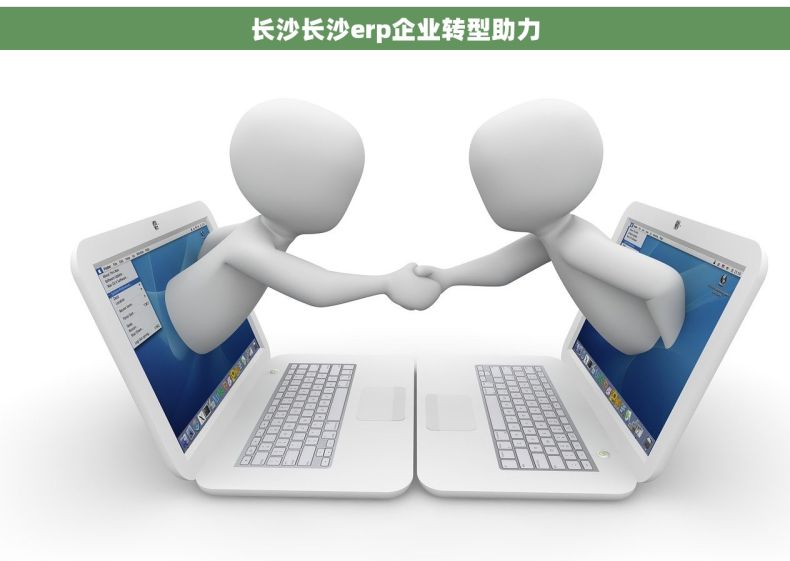 长沙长沙erp企业转型助力