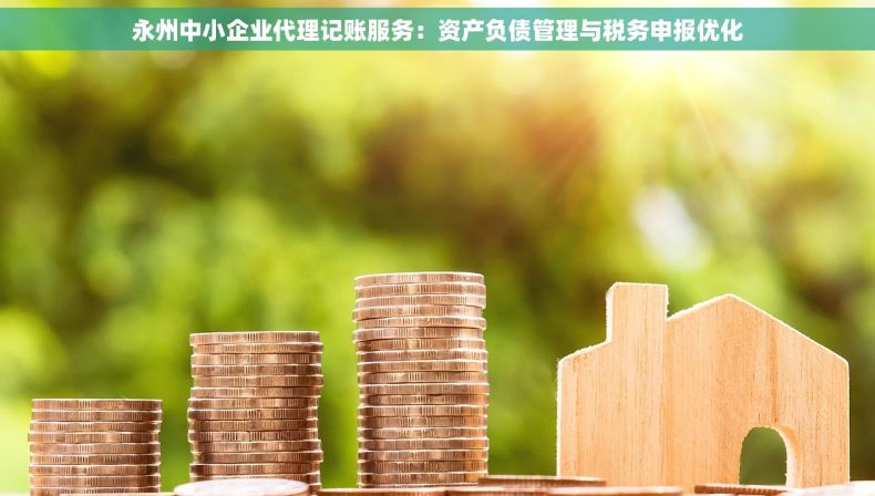 永州中小企业代理记账服务：资产负债管理与税务申报优化
