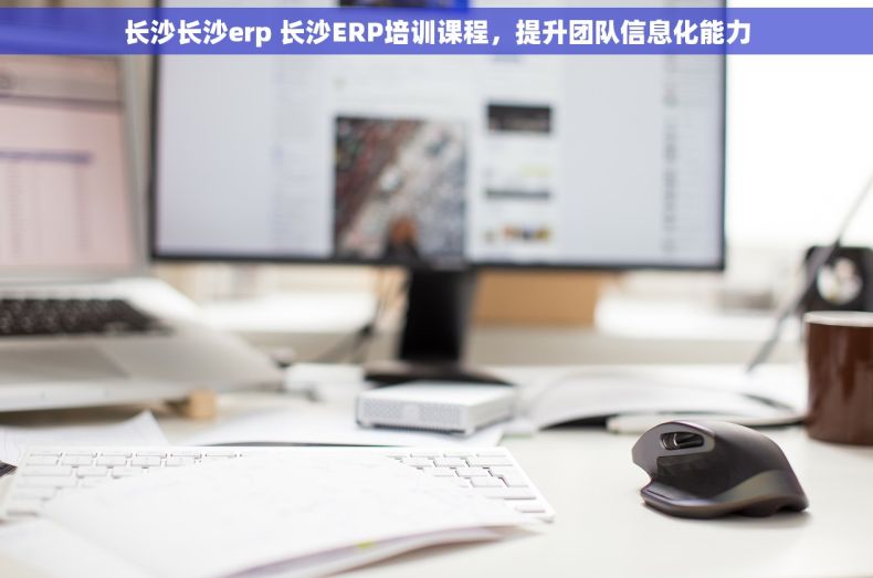 长沙长沙erp 长沙ERP培训课程，提升团队信息化能力