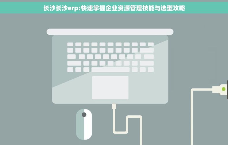 长沙长沙erp:快速掌握企业资源管理技能与选型攻略