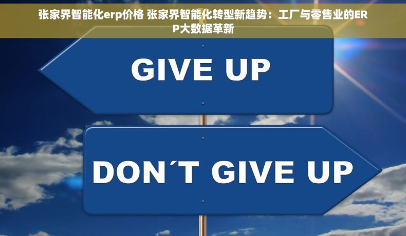 张家界智能化erp价格 张家界智能化转型新趋势：工厂与零售业的ERP大数据革新