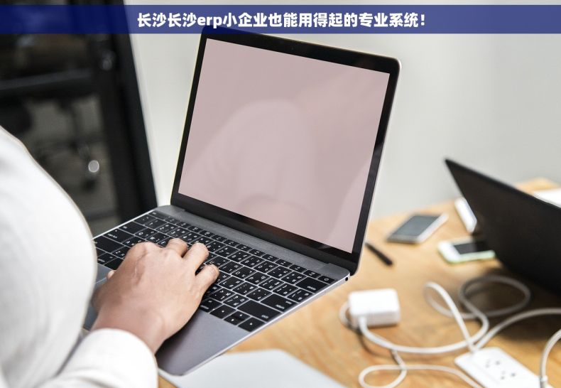 长沙长沙erp小企业也能用得起的专业系统！