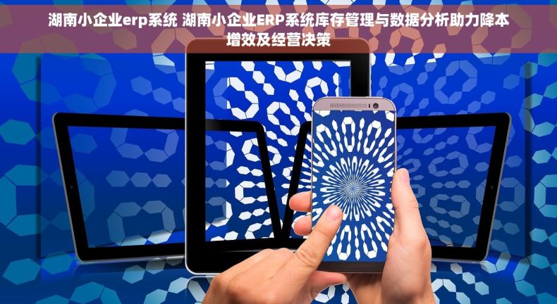 湖南小企业erp系统 湖南小企业ERP系统库存管理与数据分析助力降本增效及经营决策