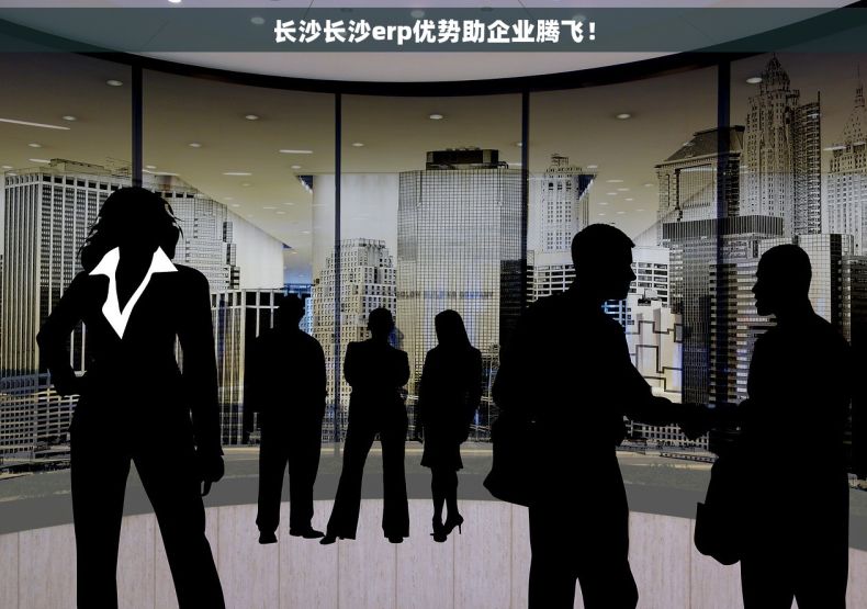 长沙长沙erp优势助企业腾飞！