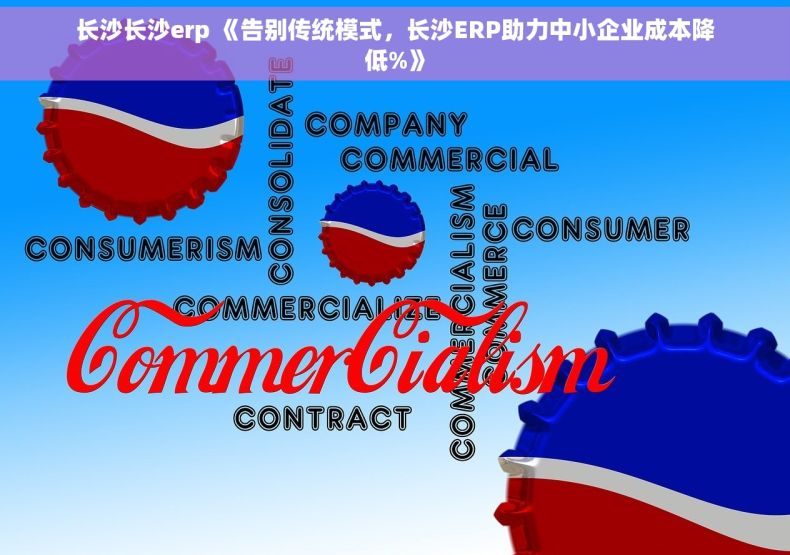 长沙长沙erp 《告别传统模式，长沙ERP助力中小企业成本降低%》
