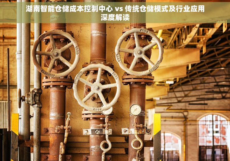湖南智能仓储成本控制中心 vs 传统仓储模式及行业应用深度解读