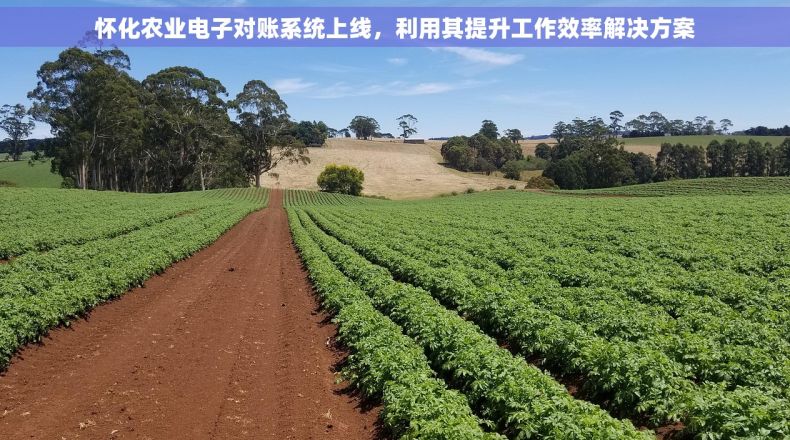 怀化农业电子对账系统上线，利用其提升工作效率解决方案