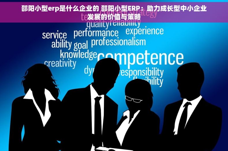 邵阳小型erp是什么企业的 邵阳小型ERP：助力成长型中小企业发展的价值与策略