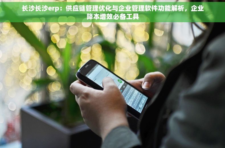 长沙长沙erp：供应链管理优化与企业管理软件功能解析，企业降本增效必备工具