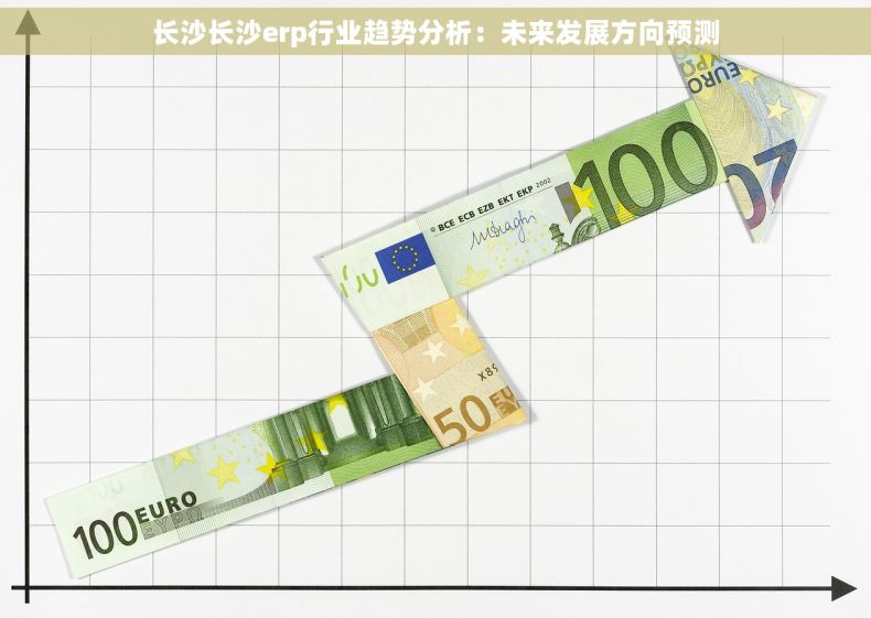 长沙长沙erp行业趋势分析：未来发展方向预测