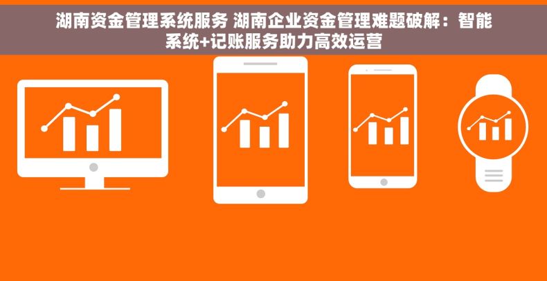 湖南资金管理系统服务 湖南企业资金管理难题破解：智能系统+记账服务助力高效运营