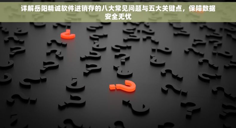详解岳阳精诚软件进销存的八大常见问题与五大关键点，保障数据安全无忧