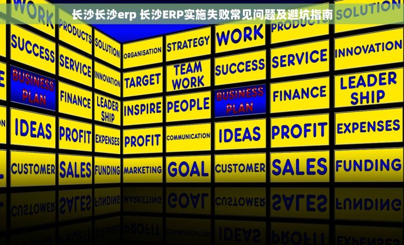 长沙长沙erp 长沙ERP实施失败常见问题及避坑指南
