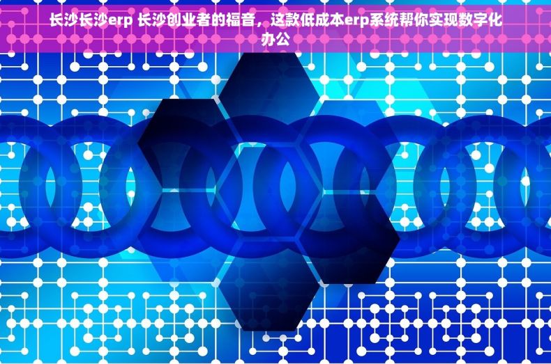 长沙长沙erp 长沙创业者的福音，这款低成本erp系统帮你实现数字化办公