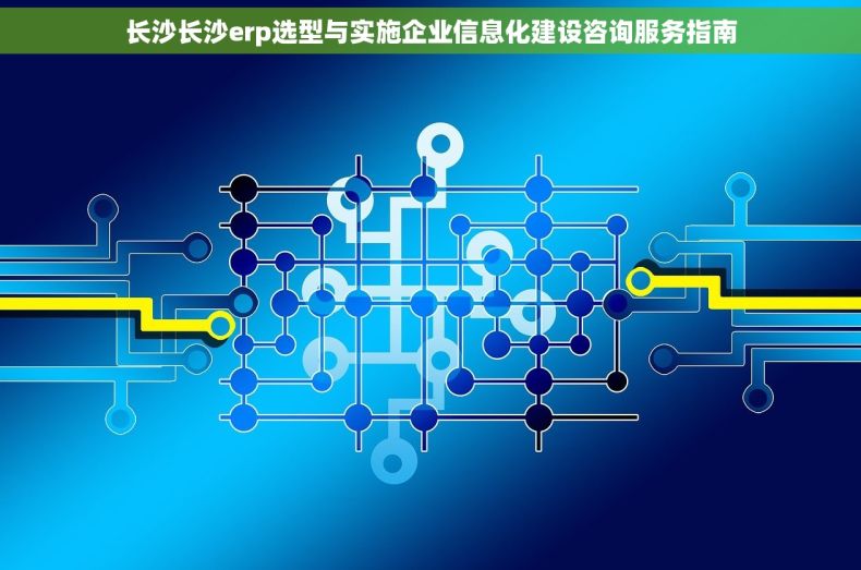 长沙长沙erp选型与实施企业信息化建设咨询服务指南