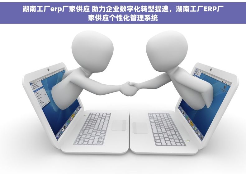 湖南工厂erp厂家供应 助力企业数字化转型提速，湖南工厂ERP厂家供应个性化管理系统