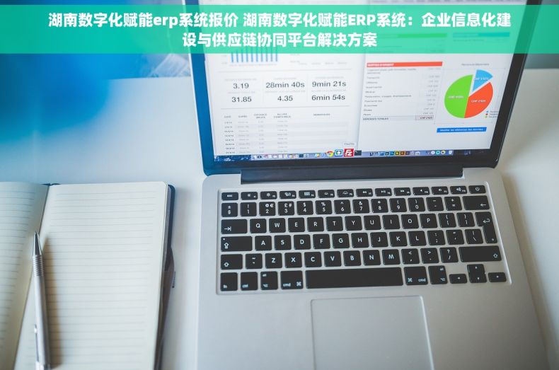 湖南数字化赋能erp系统报价 湖南数字化赋能ERP系统：企业信息化建设与供应链协同平台解决方案