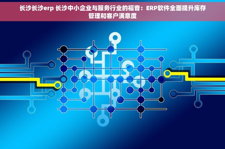长沙长沙erp 长沙中小企业与服务行业的福音：ERP软件全面提升库存管理和客户满意度