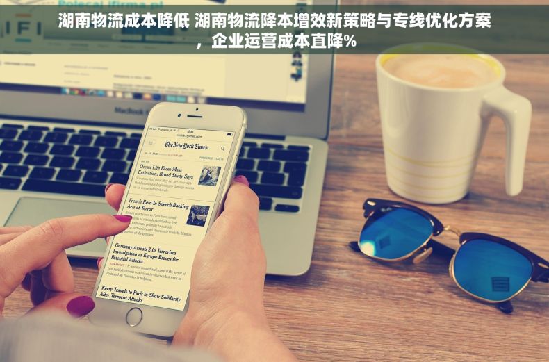 湖南物流成本降低 湖南物流降本增效新策略与专线优化方案，企业运营成本直降%