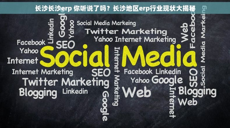长沙长沙erp 你听说了吗？长沙地区erp行业现状大揭秘