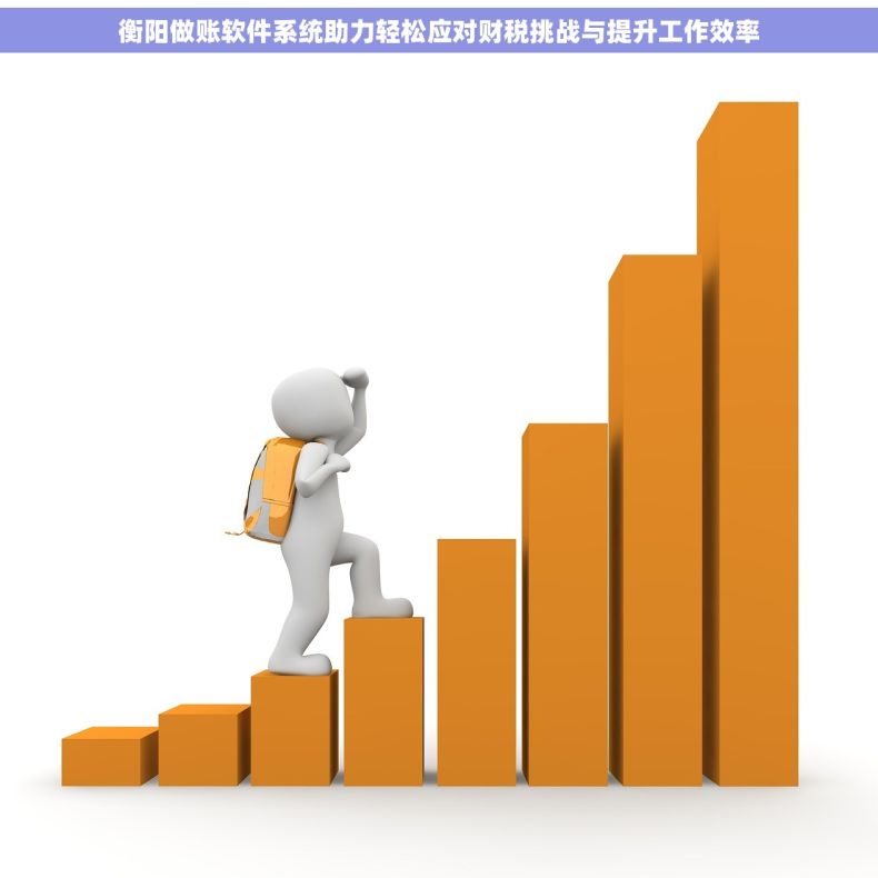 衡阳做账软件系统助力轻松应对财税挑战与提升工作效率