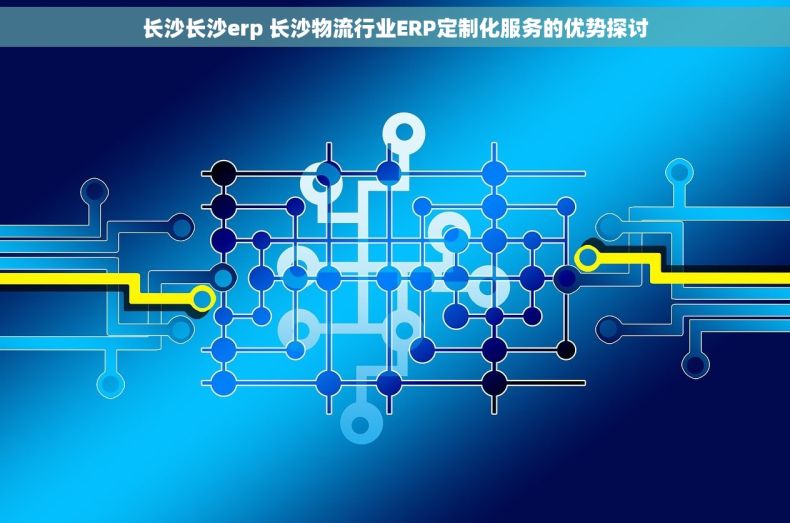 长沙长沙erp 长沙物流行业ERP定制化服务的优势探讨