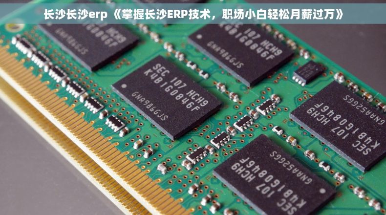 长沙长沙erp 《掌握长沙ERP技术，职场小白轻松月薪过万》