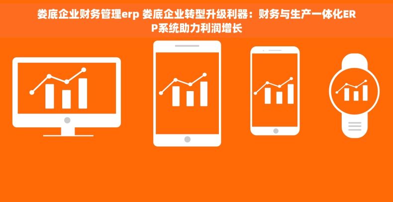 娄底企业财务管理erp 娄底企业转型升级利器：财务与生产一体化ERP系统助力利润增长