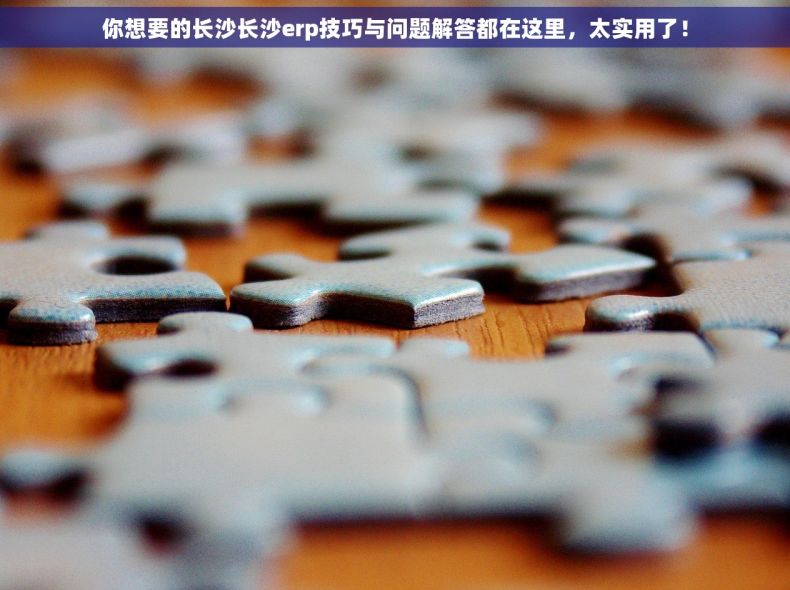 你想要的长沙长沙erp技巧与问题解答都在这里，太实用了！