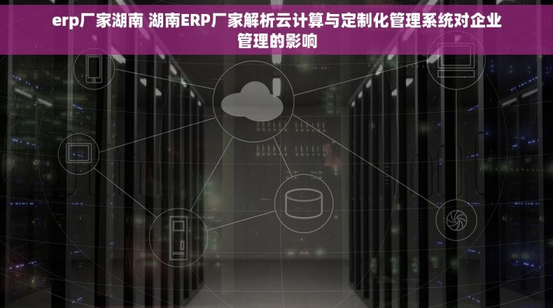 erp厂家湖南 湖南ERP厂家解析云计算与定制化管理系统对企业管理的影响