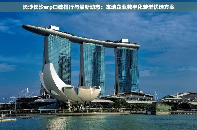 长沙长沙erp口碑排行与最新动态：本地企业数字化转型优选方案