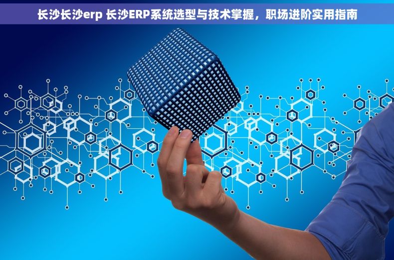 长沙长沙erp 长沙ERP系统选型与技术掌握，职场进阶实用指南