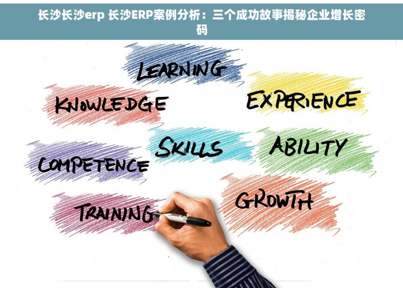 长沙长沙erp 长沙ERP案例分析：三个成功故事揭秘企业增长密码