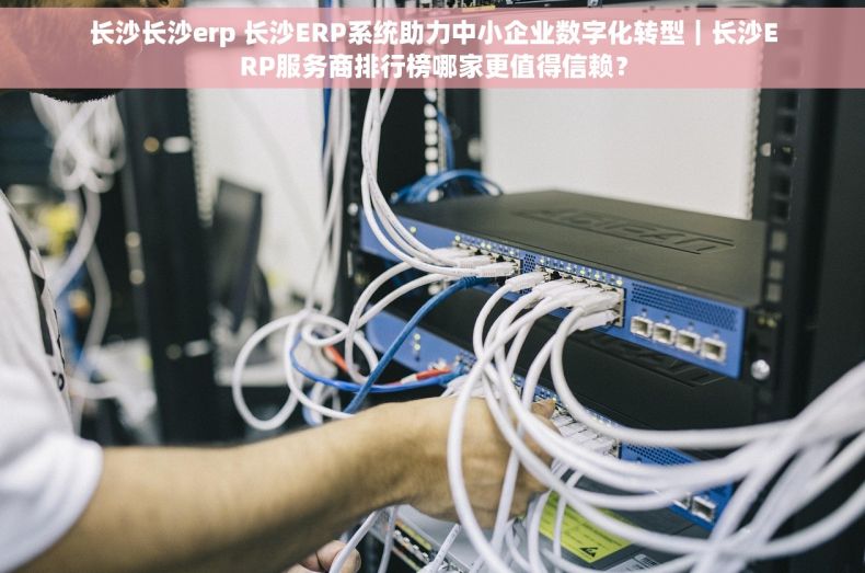 长沙长沙erp 长沙ERP系统助力中小企业数字化转型｜长沙ERP服务商排行榜哪家更值得信赖？