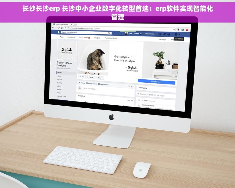 长沙长沙erp 长沙中小企业数字化转型首选：erp软件实现智能化管理