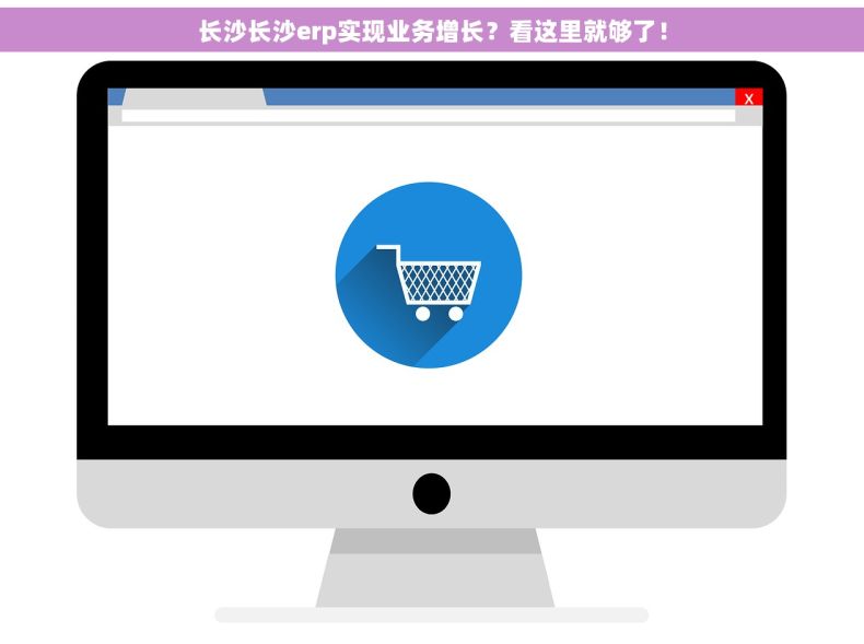 长沙长沙erp实现业务增长？看这里就够了！