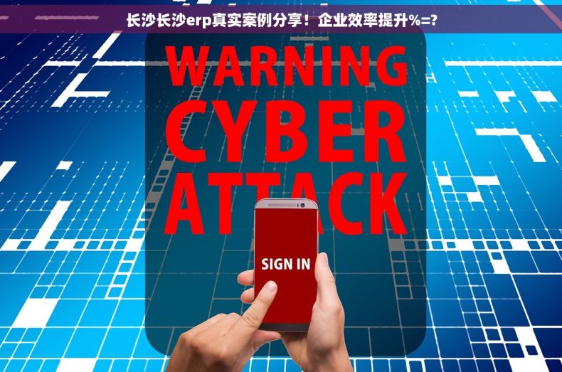 长沙长沙erp真实案例分享！企业效率提升%=?