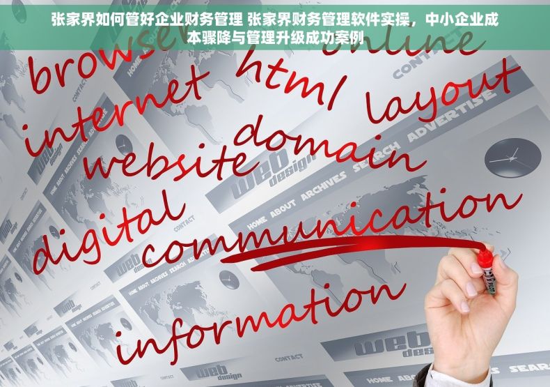 张家界如何管好企业财务管理 张家界财务管理软件实操，中小企业成本骤降与管理升级成功案例