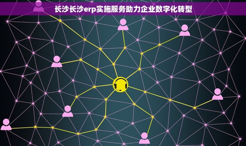 长沙长沙erp实施服务助力企业数字化转型