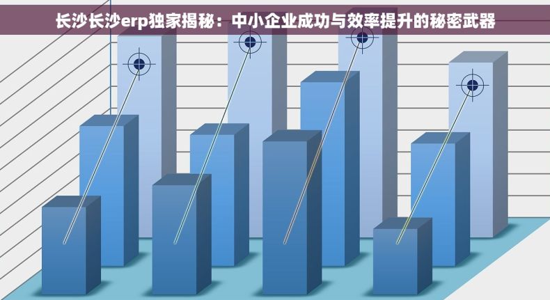 长沙长沙erp独家揭秘：中小企业成功与效率提升的秘密武器
