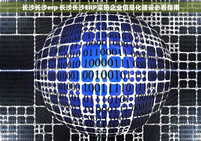长沙长沙erp 长沙长沙ERP实施企业信息化建设必看指南