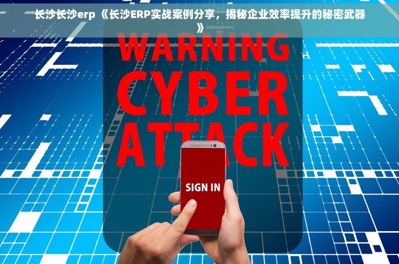 长沙长沙erp 《长沙ERP实战案例分享，揭秘企业效率提升的秘密武器》