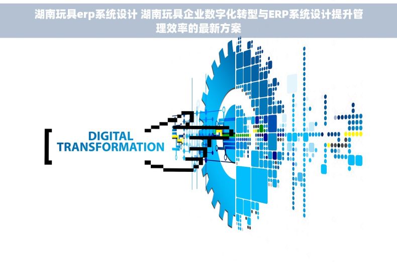 湖南玩具erp系统设计 湖南玩具企业数字化转型与ERP系统设计提升管理效率的最新方案