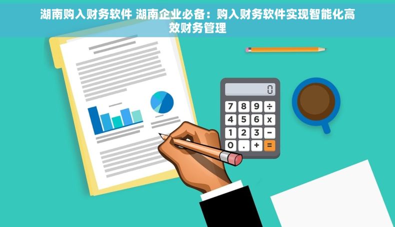 湖南购入财务软件 湖南企业必备：购入财务软件实现智能化高效财务管理