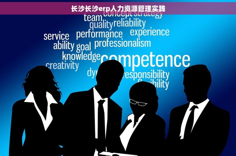 长沙长沙erp人力资源管理实践