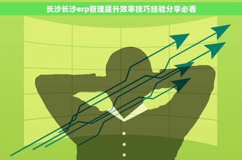 长沙长沙erp管理提升效率技巧经验分享必看