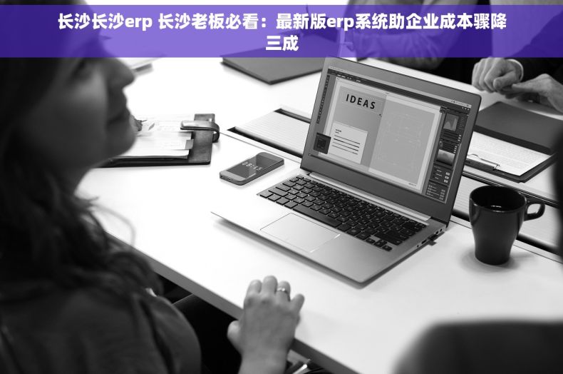 长沙长沙erp 长沙老板必看：最新版erp系统助企业成本骤降三成