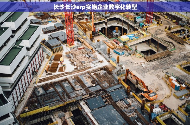 长沙长沙erp实施企业数字化转型
