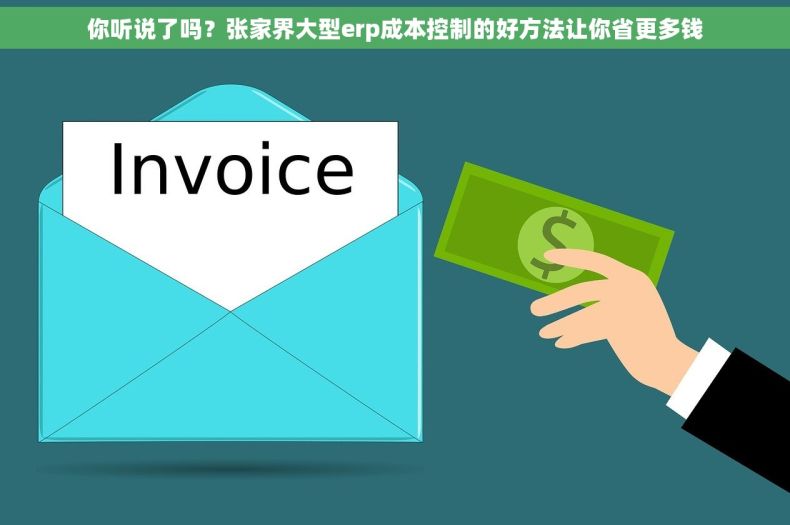 你听说了吗？张家界大型erp成本控制的好方法让你省更多钱
