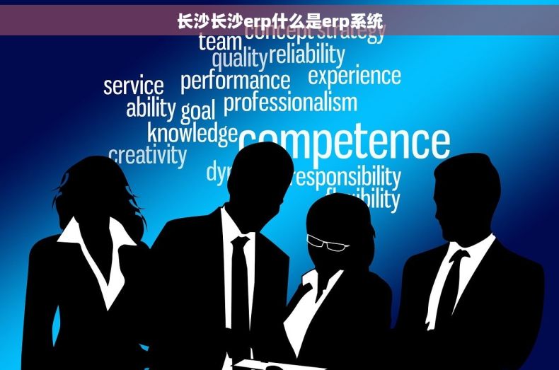 长沙长沙erp什么是erp系统